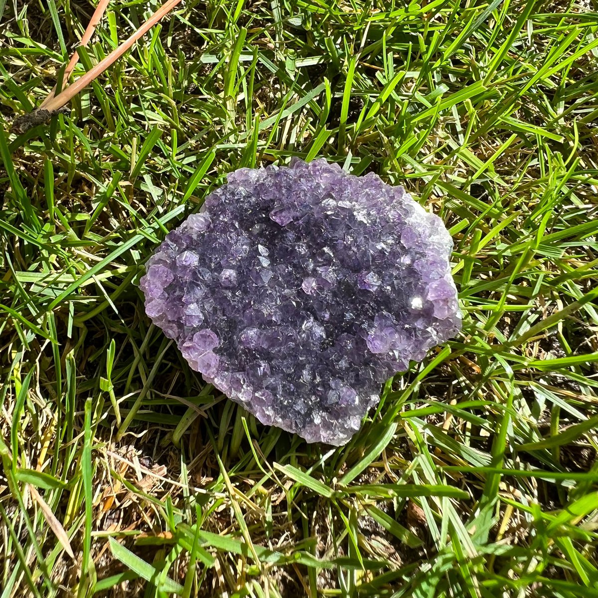 Amethyst Cluster